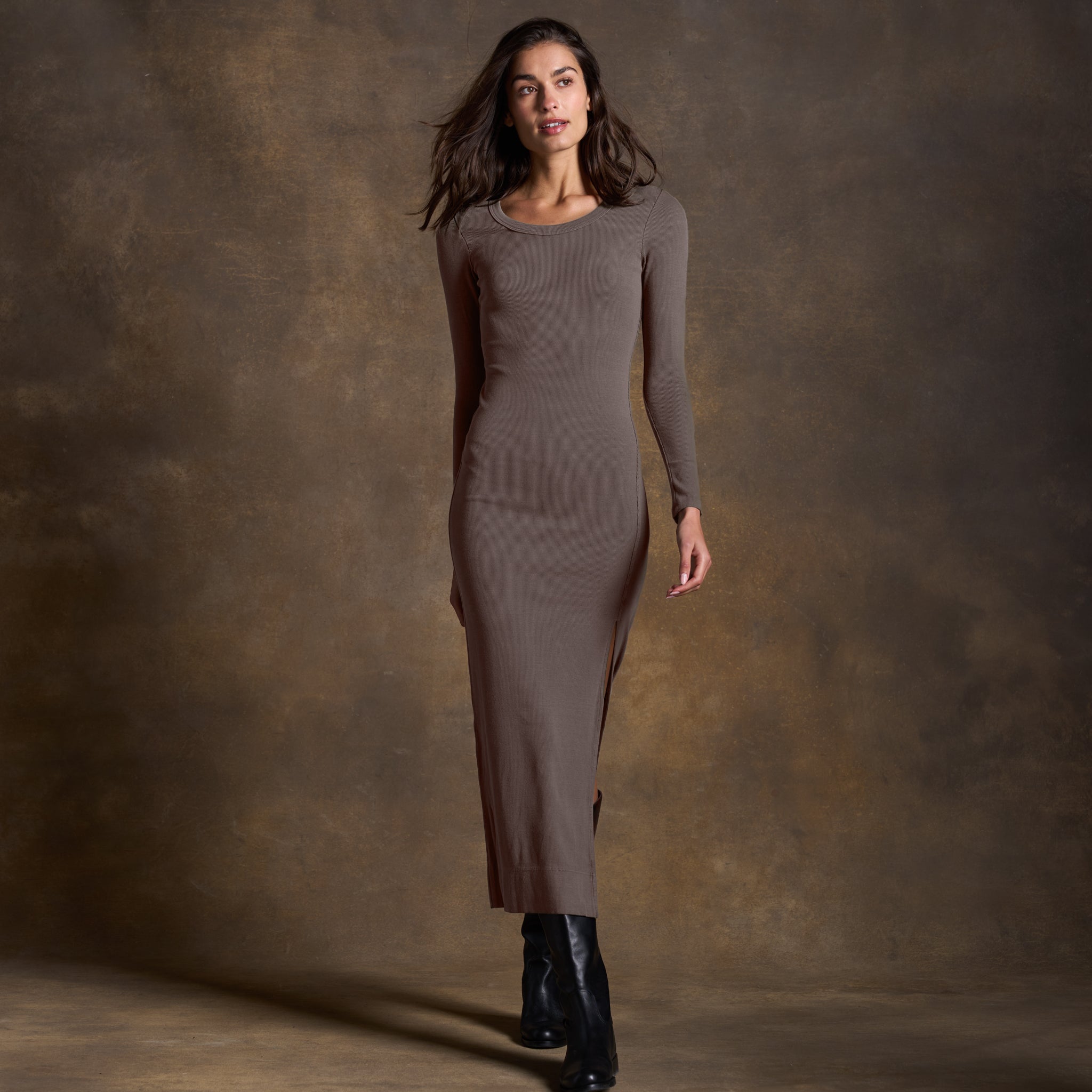 Dylan Long Sleeve Maxi Dress
